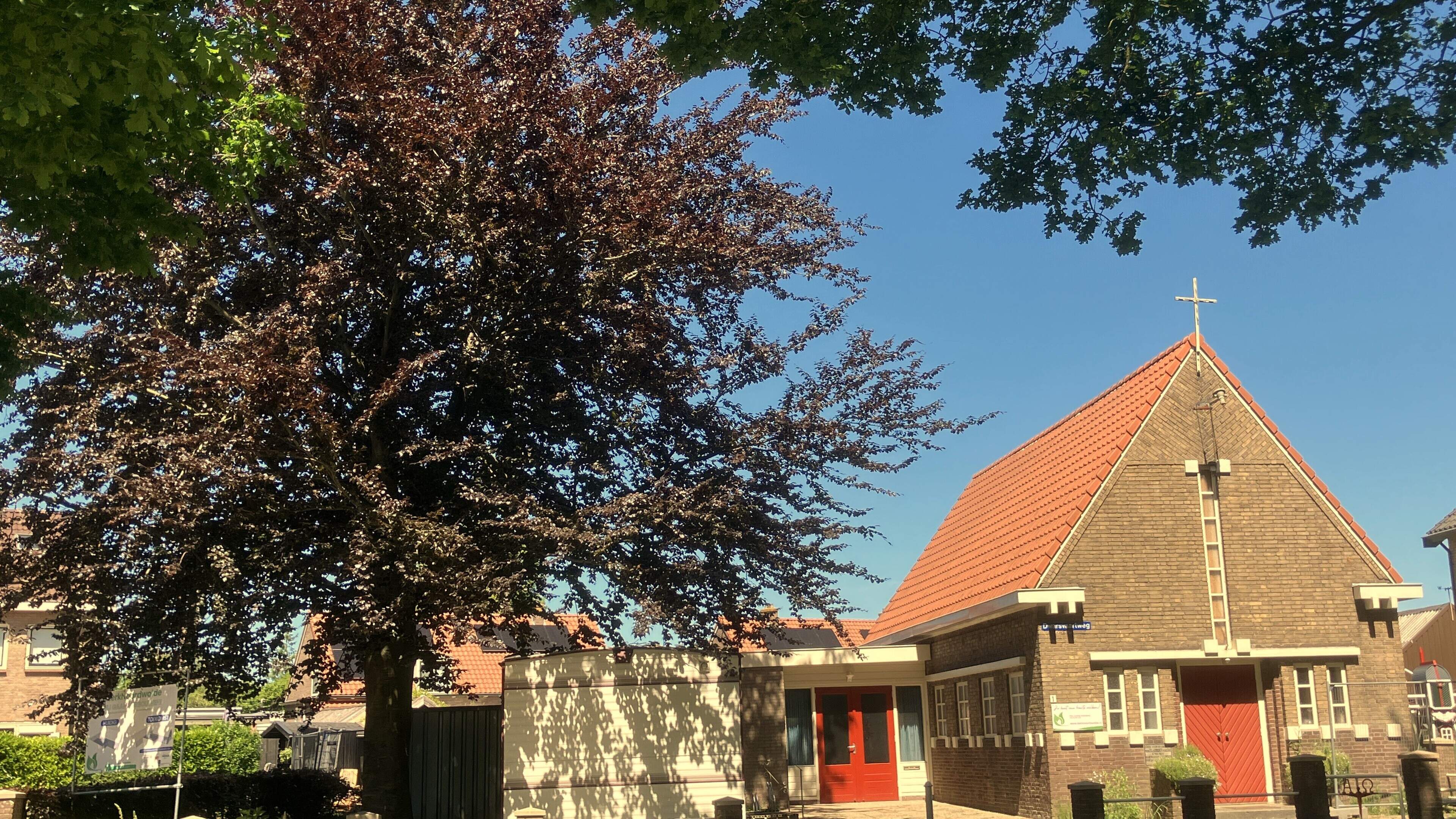 Kappen rode beuk in Noordwolde zorgt voor discussie, maar kerk zegt geen andere keus te hebben